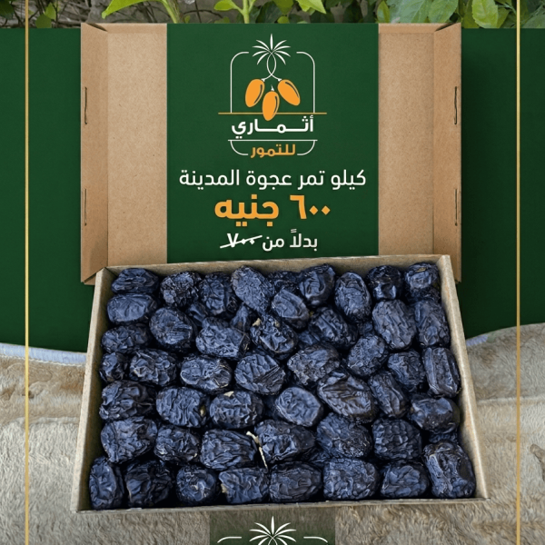 عرض عجوة المدينه